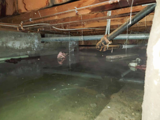 Best Water damage restoration process  in St Bonaventure, NY