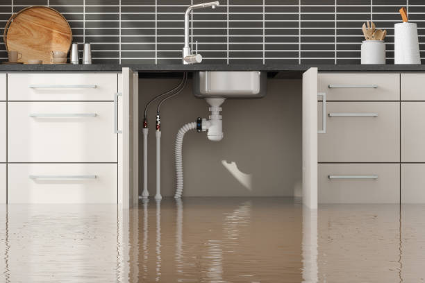 Best Flood restoration services  in St Bonaventure, NY