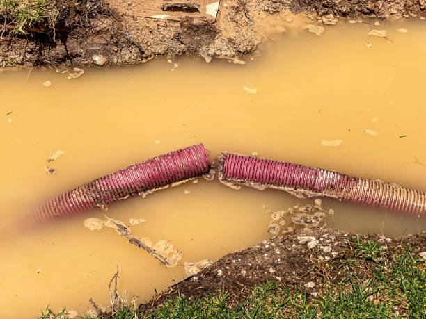 Best Local water damage restoration  in St Bonaventure, NY